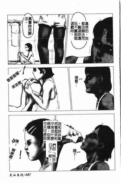 第88頁圖