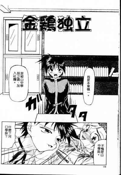 第116頁圖