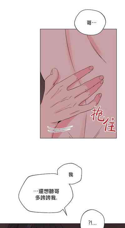 第44頁圖
