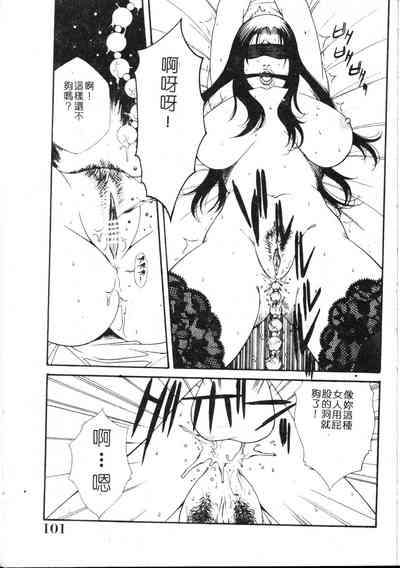 第100頁圖