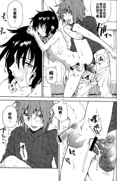第20页图