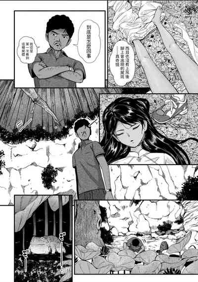 第20頁圖