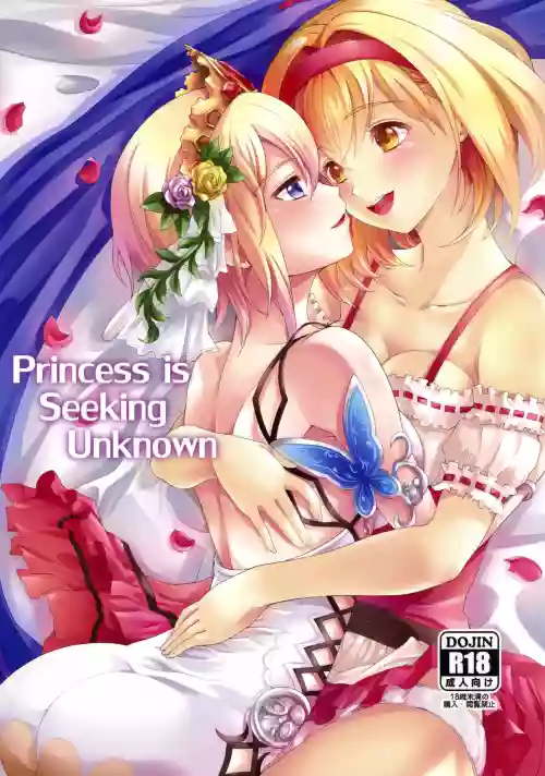 Princess is Seeking Unknown图