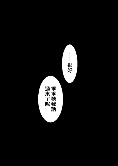 第16页图