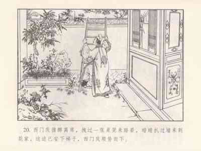 第24頁圖