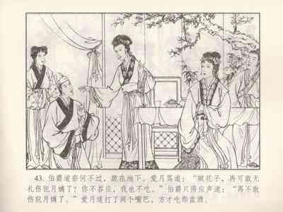 第504頁圖