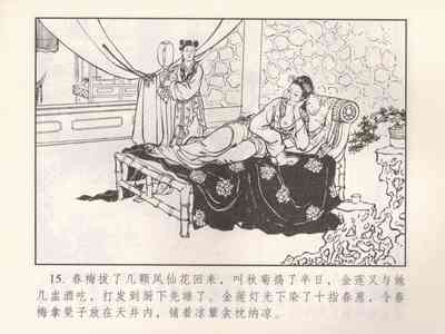第204页图