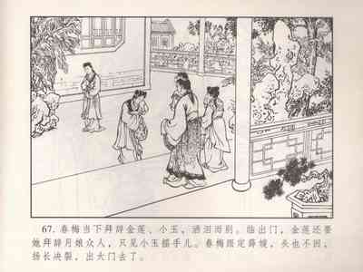 第256页图