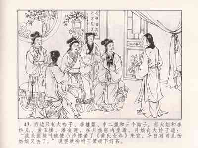第48页图