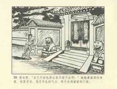 第248頁圖