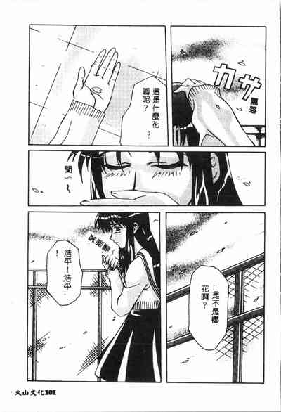 第100頁圖