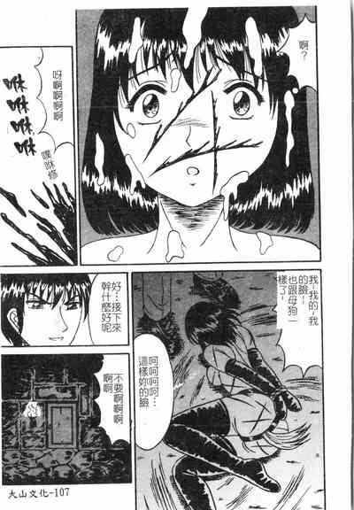 第108頁圖