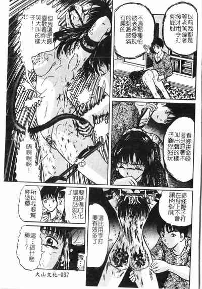 第68頁圖