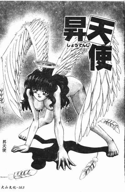 第164頁圖