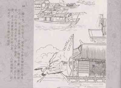 第48頁圖
