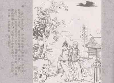 第52頁圖