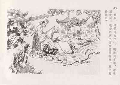 第52頁圖