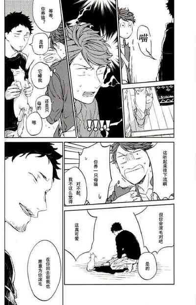 第28頁圖