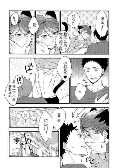 第12页图