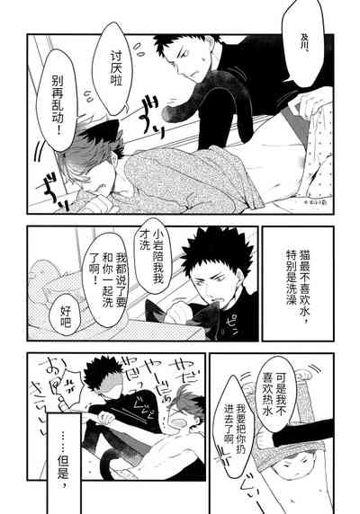 第8页图