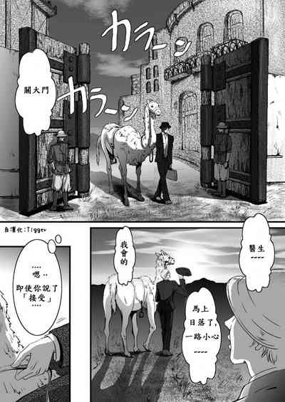 第12页图