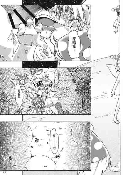 第24頁圖