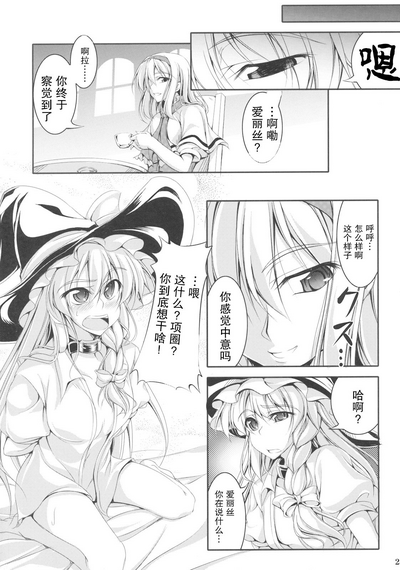 第24页图