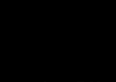 第248頁圖