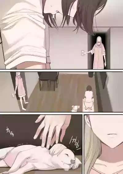 第48頁圖