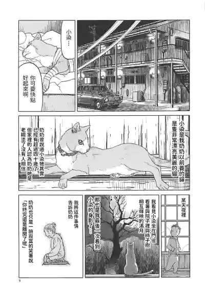 第8頁圖