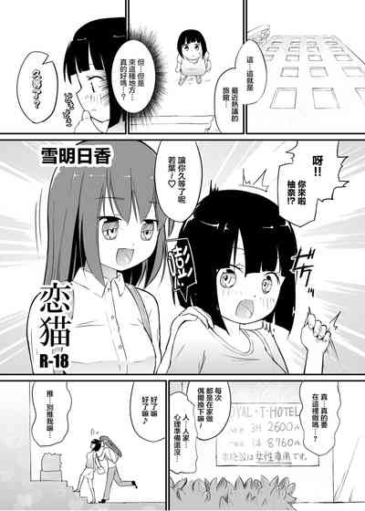 第4页图