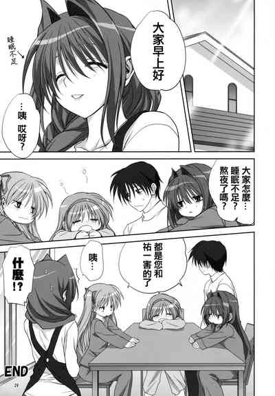 第28頁圖