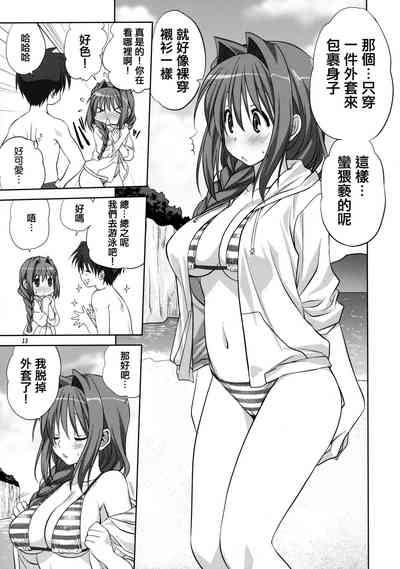第12页图