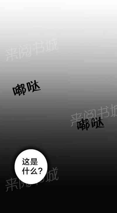 第28頁圖