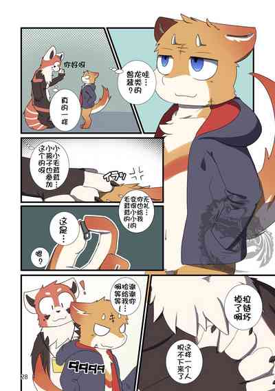 第28頁圖