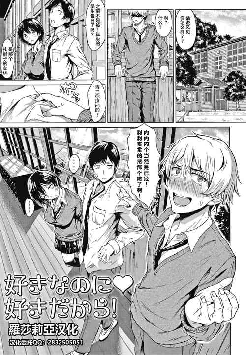 好きなのに好きだから图