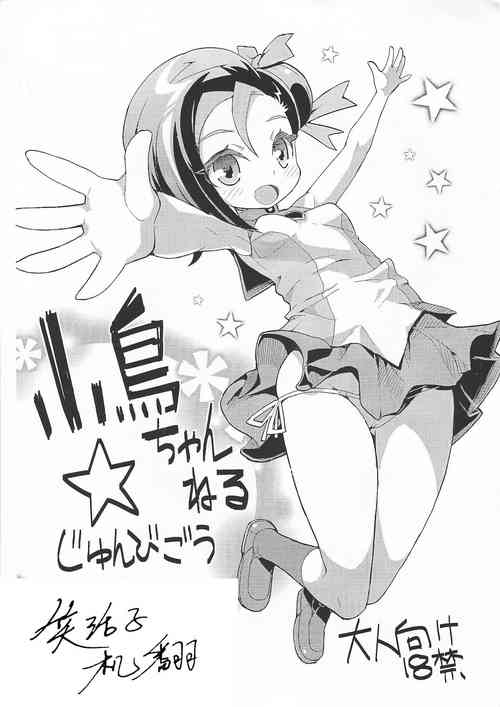 小鳥ちゃんねる☆じゅんびごう+α圖