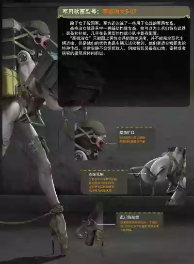 第24頁圖