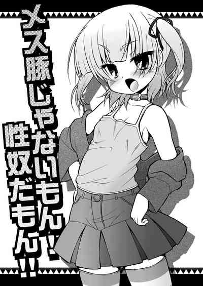 第4页图