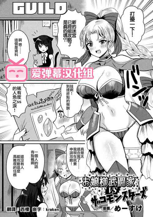 お嬢様武闘家VSザコモンスターズ 封面 - HaSM.cc