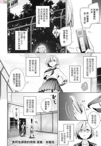 第100頁圖