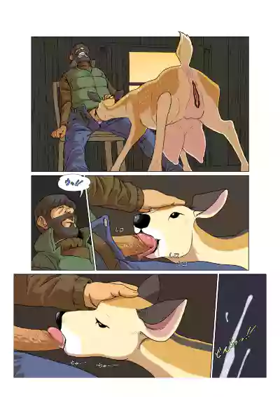 第4頁圖