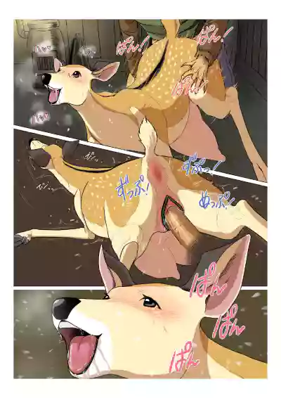 第8頁圖