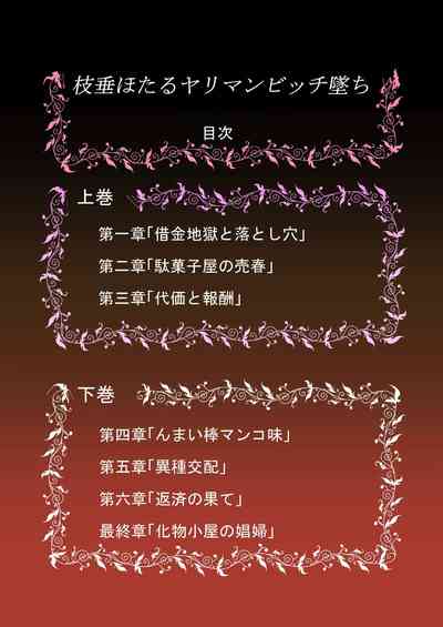 第40頁圖