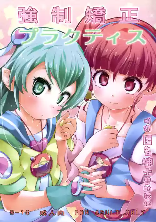 强制矫正プラクティス图