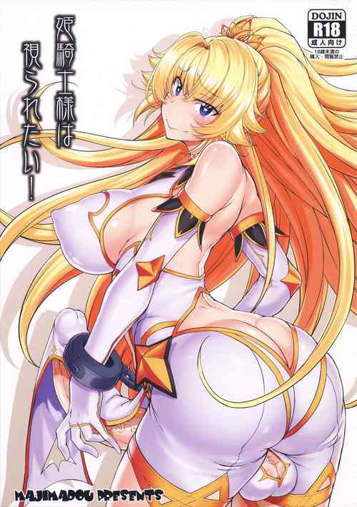 姫騎士様は視られたい! 封面 - HaSM.cc