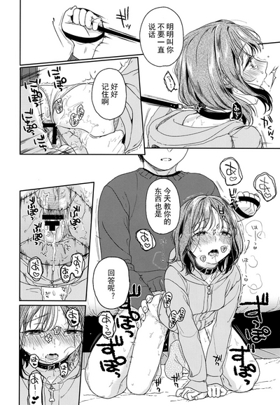 第12页图