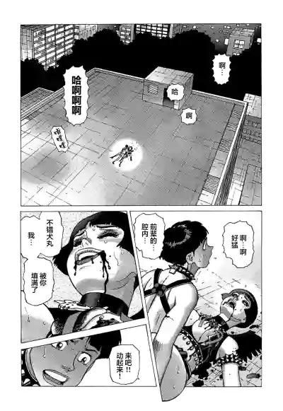 第172頁圖