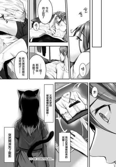 第68頁圖