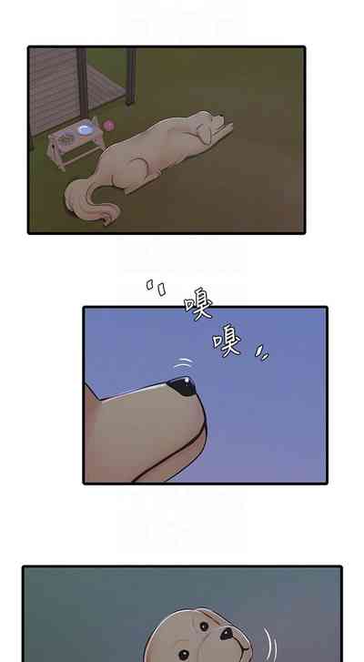 第392頁圖